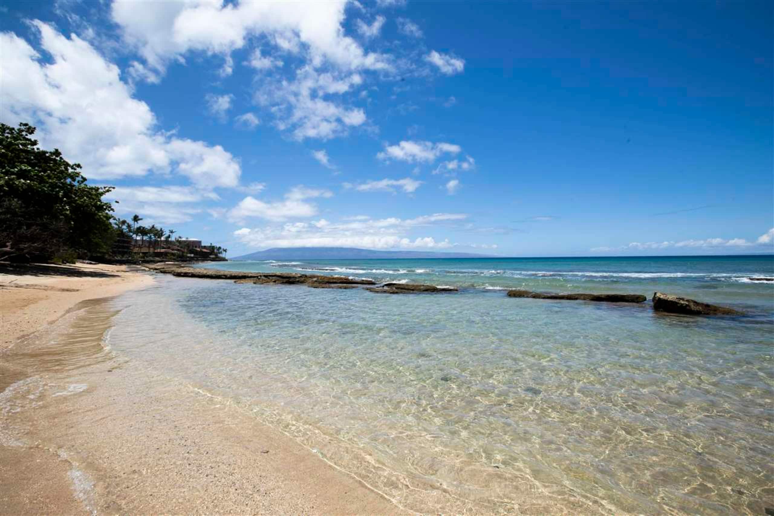 A jewel on Oceanfront & Breath Taking Views. - Photo 11