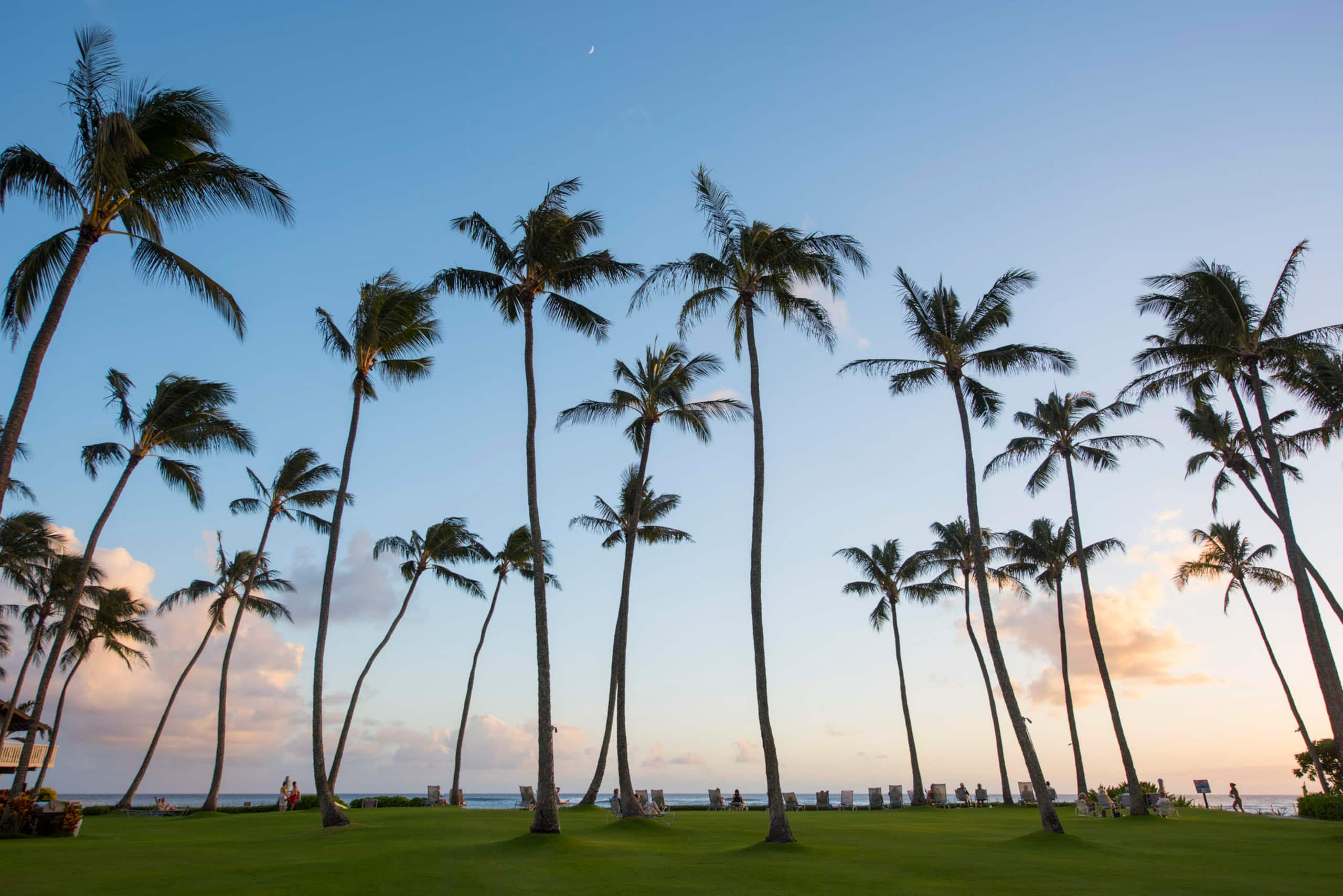 Condo in Koloa · ★4.83 · 2 bedrooms · 4 beds · 2 baths - Photo 22