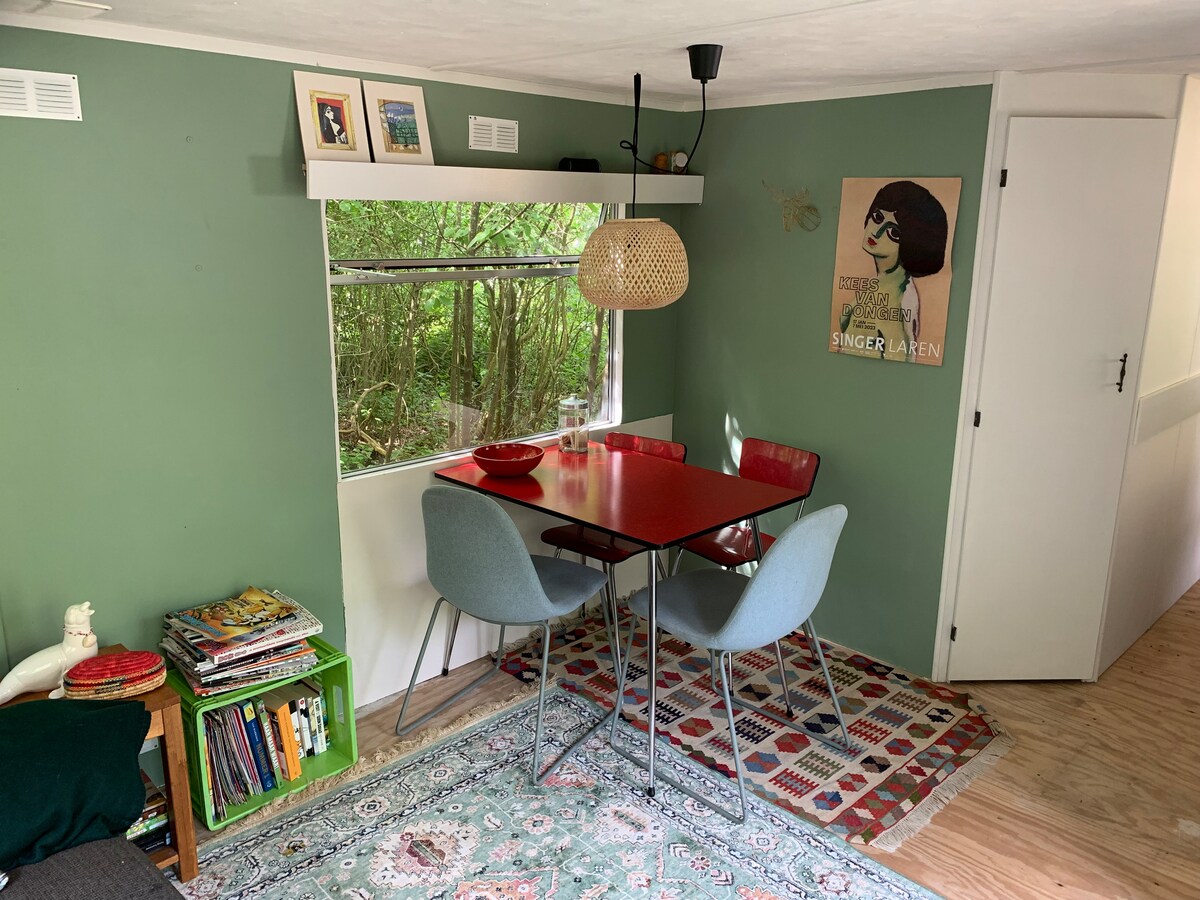 Successful Airbnb property: Caravan with veranda & privacy in Duin En Bosch