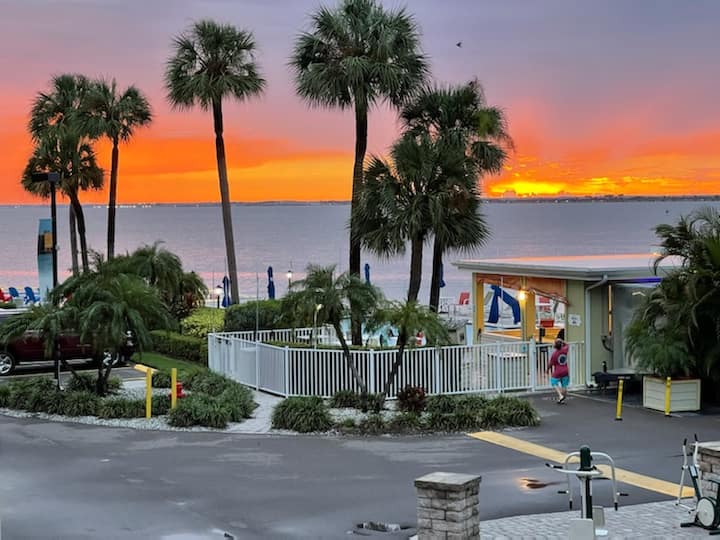 Rocky Point Vacation Rentals & Homes Tampa, FL Airbnb