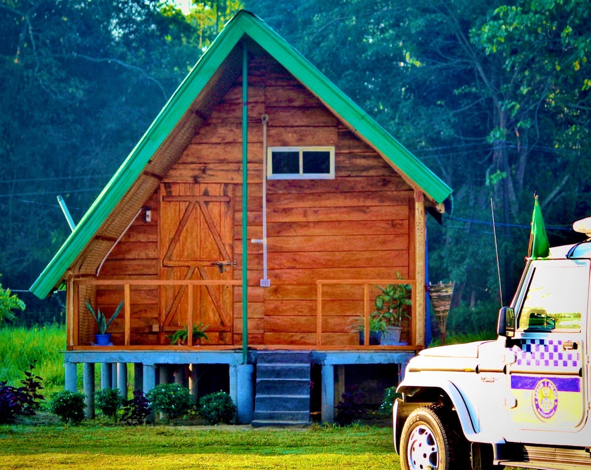 Puinen mökki, sopii 2 (kahdelle) aikuiselle. Kylpyhuoneessa on länsimainen wc-istuin, suihkepistooli ja seisova suihku. Tarjolla on tarpeeksi latauspisteitä, jotta kuka tahansa, joka työskentelee matkustaessaan, voi jatkaa toimintaansa sujuvasti. 