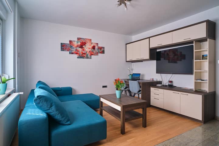 客厅配备55英寸电视、无线网络