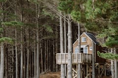 Raglan+Tree+House+in+the+Woods+with+Outdoor+Bath