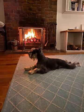 Ambers Beach House, Sawtell gallery image 4