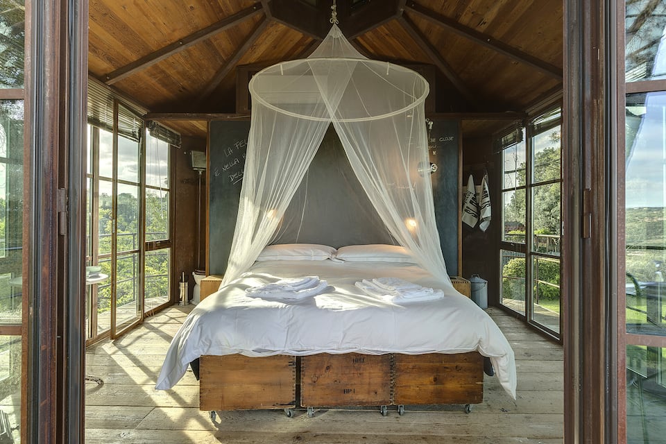 A glass treehouse in an olive grove, Florence, Tuscany, Italy, photo 5 of 10