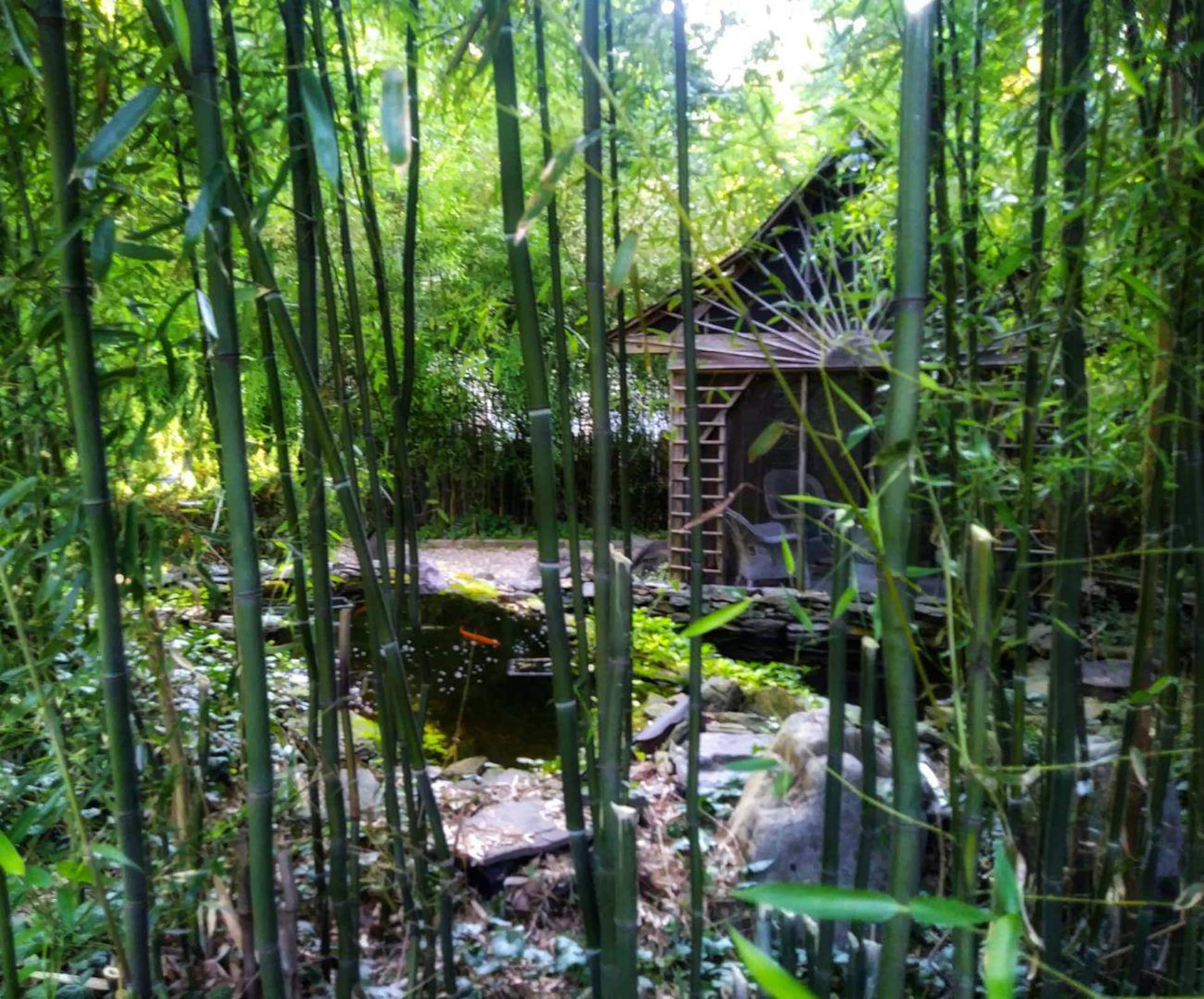 Guest Suite/Private Entrance/On the Hill