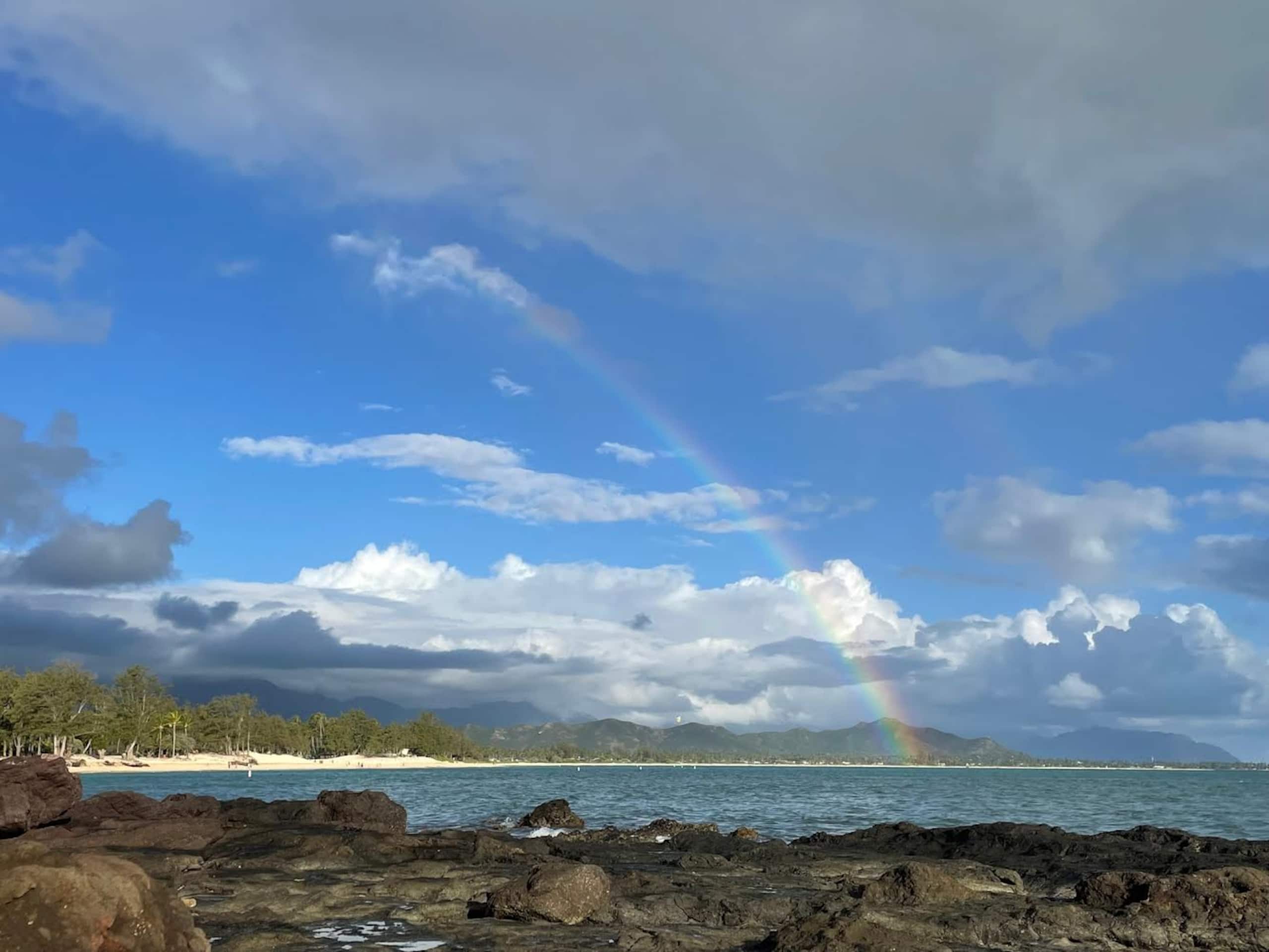 Kailua Pineapple Studio. Walk to Beach! PERMITTED - Image 20