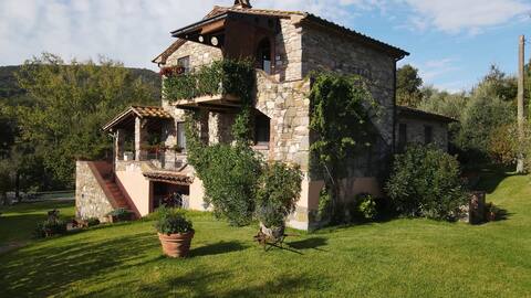 PODERE "LO STOLLO"  (Stollo 2) Sassetta - Tuscany