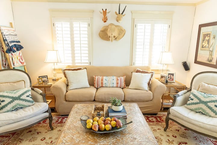 Knjižnica/dnevna soba s bračnim krevetom na razvlačenje.