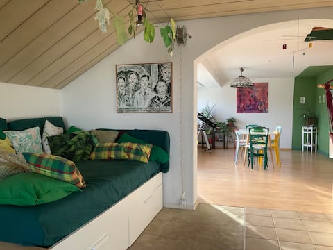 Bright large apartment near Basel