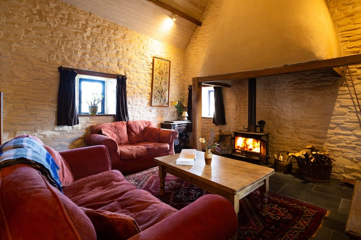 Thatched Cottage With Hot Tub, Forest & Dark Skies - Lampeter