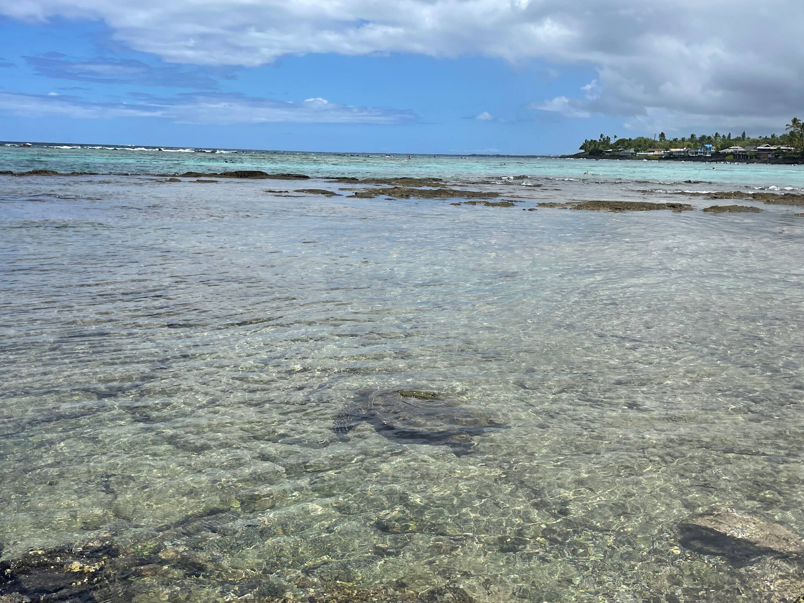 Condo in Kailua-Kona · ★4.92 · 2 bedrooms · 5 beds · 2 baths - Image 10