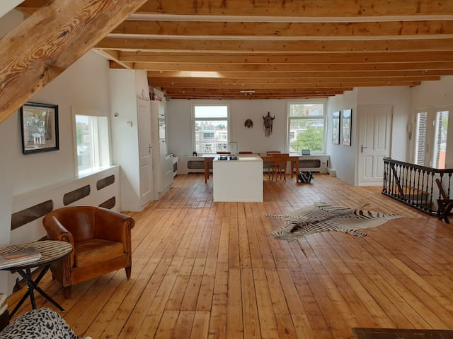 2 floor penthouse in city center