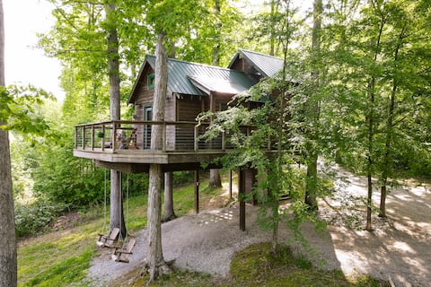 Serenity House~ a treehouse