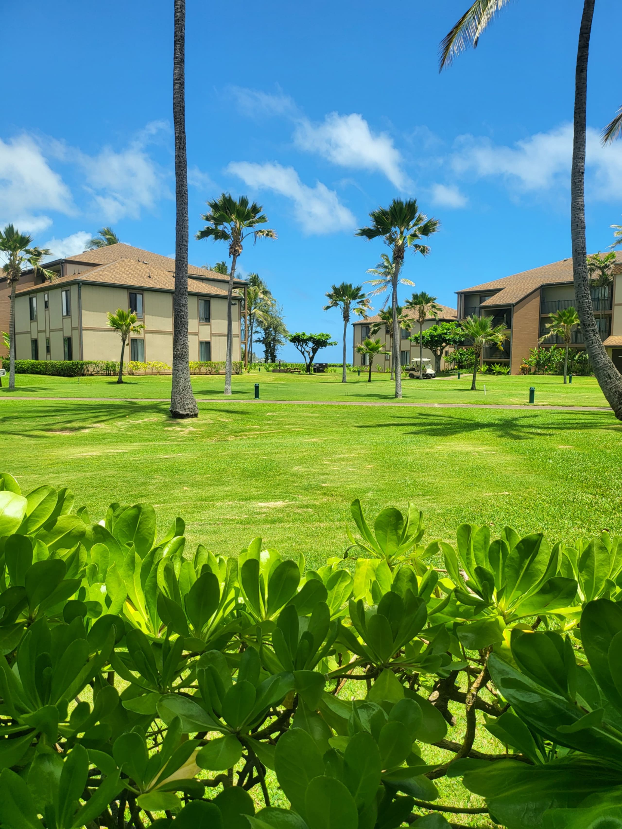 Condo in Kapaa · ★4.57 · 2 bedrooms · 2 beds · 2 private baths - Image 13