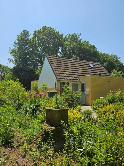 Sunny, detached bungalow in South Limburg