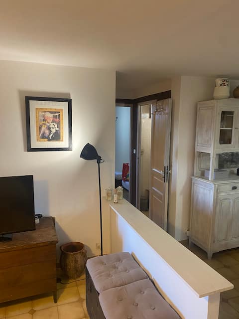 Propriété Airbnb réussie: Casa Maria In the heart of the village of Zonza à Zonza