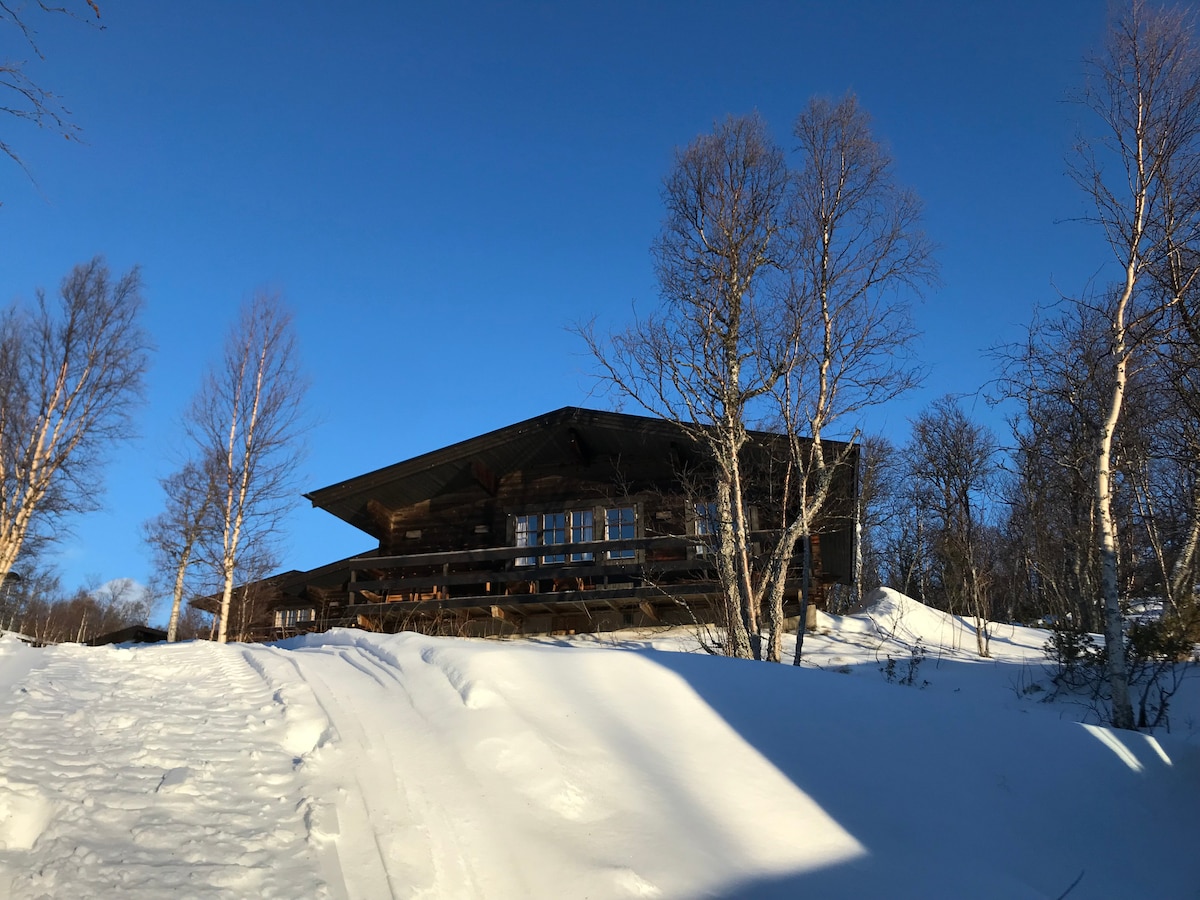 The exterior of a wooden cabin is shown, set against a clear blue sky. Snow covers the ground, highlighting the cabin's structure and large deck. Surrounding birch trees are visible, complementing the serene winter landscape.
