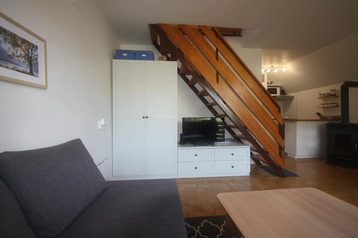 Planika Penthouse - Two Floor Apartment W/ Balcony - Bohinjska Bistrica