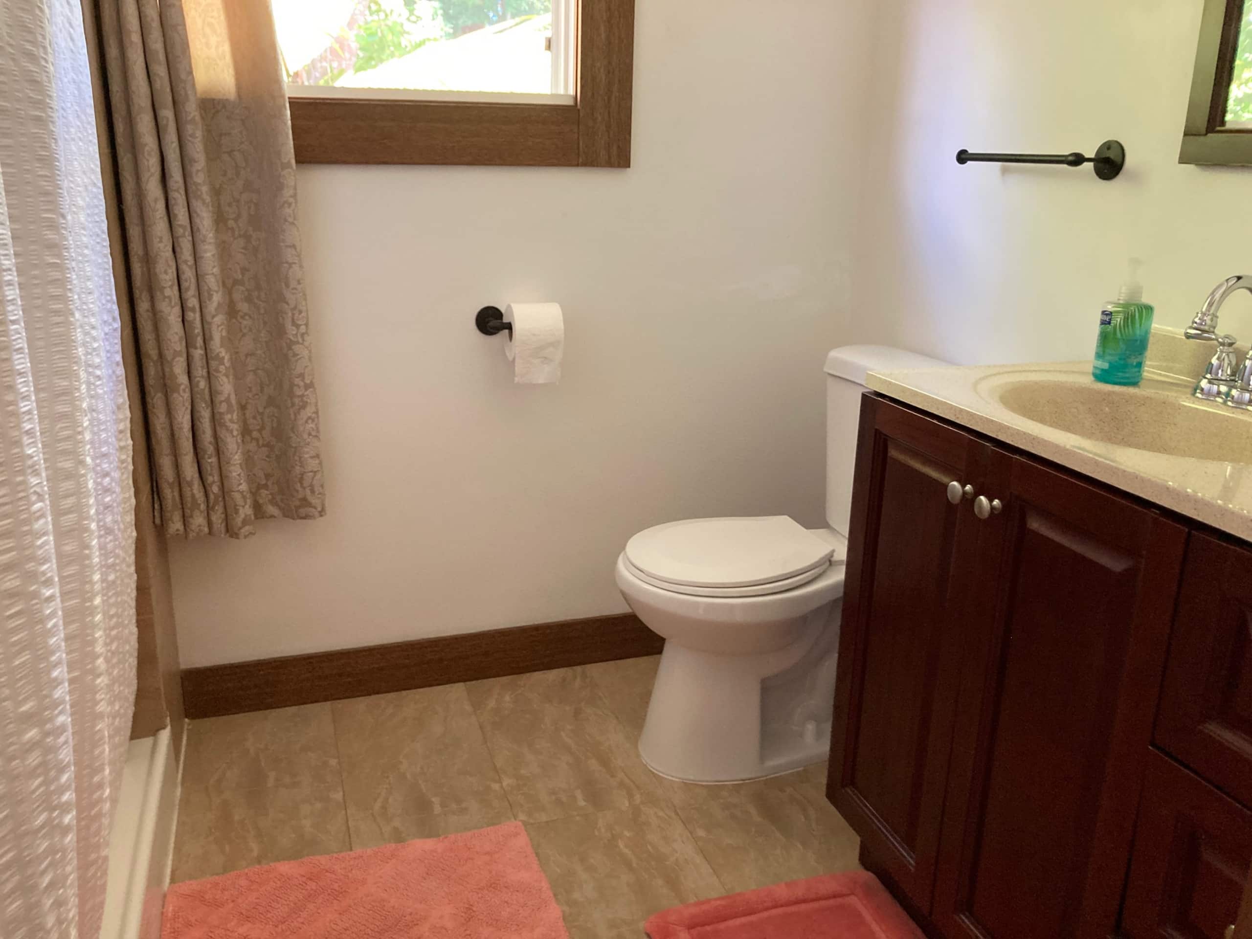 Hilo Bay Oceanfront B&B (Room #5) Sleeps 4 - Image 7