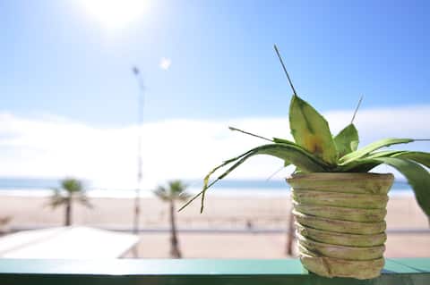 Ocean front with terrace, bright and warm