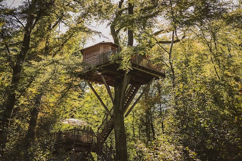 Echo Spa Treehouse for 2 people