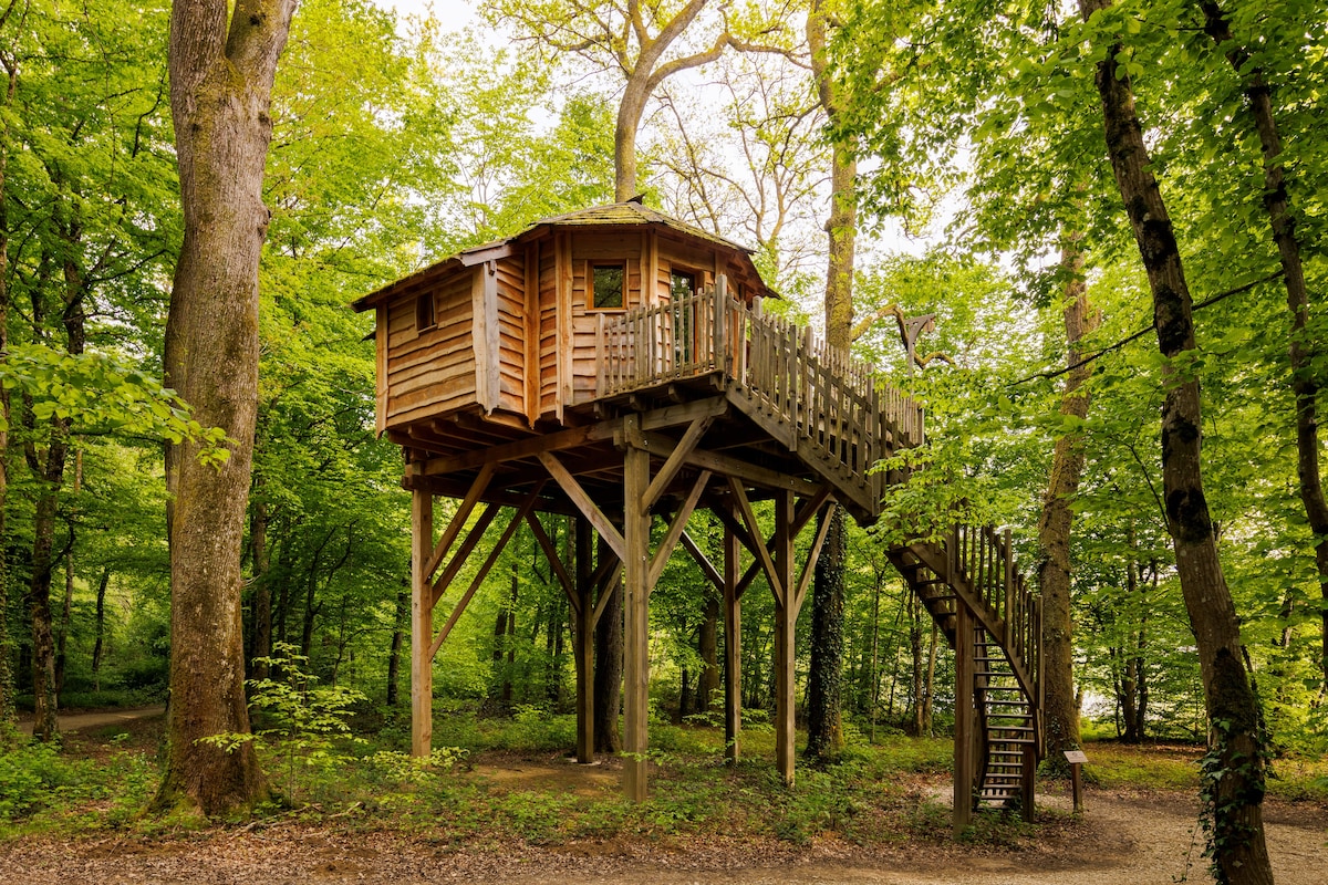 A wooden cabin is elevated on stilts, nestled among lush green trees. A staircase leads to the entrance, and a wrap-around balcony offers views of the surrounding forest. The cozy structure showcases natural wood tones, blending harmoniously with the tranquil outdoor setting.