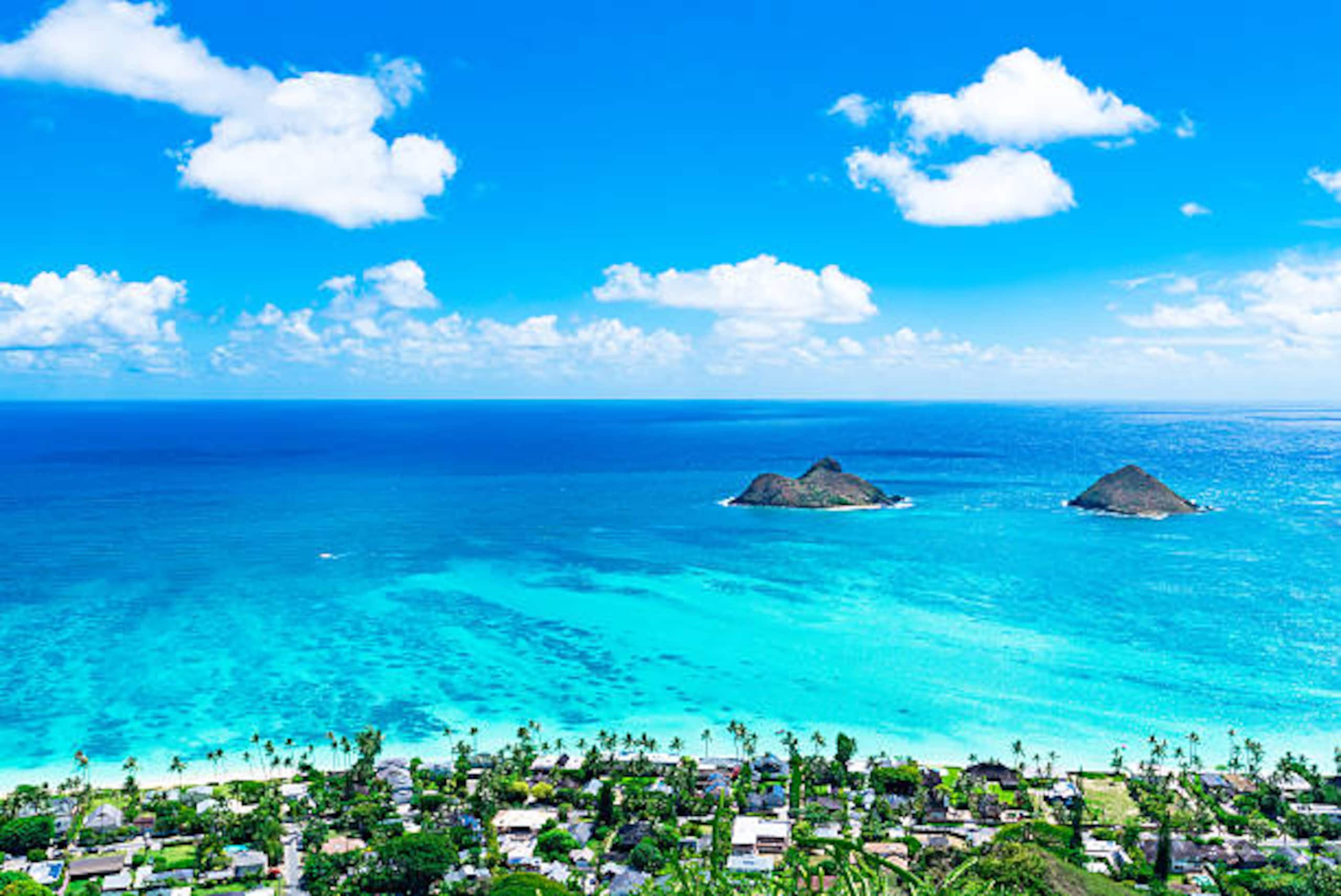 Condo in Honolulu · ★4.88 · Studio · 1 bed · 1 bath - Image 9