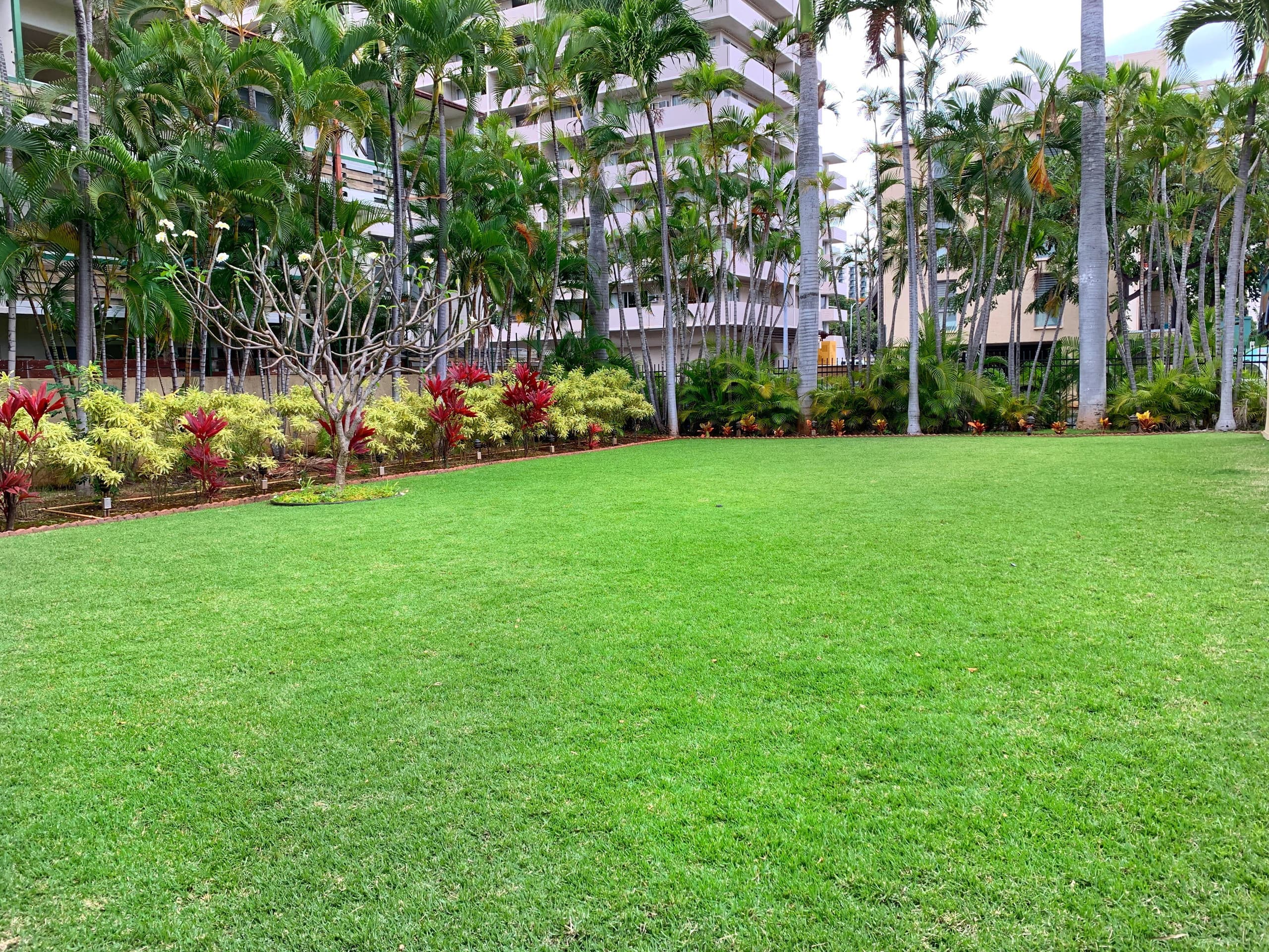 Waikiki 2 Bedroom Suite on High Floor! - Image 5