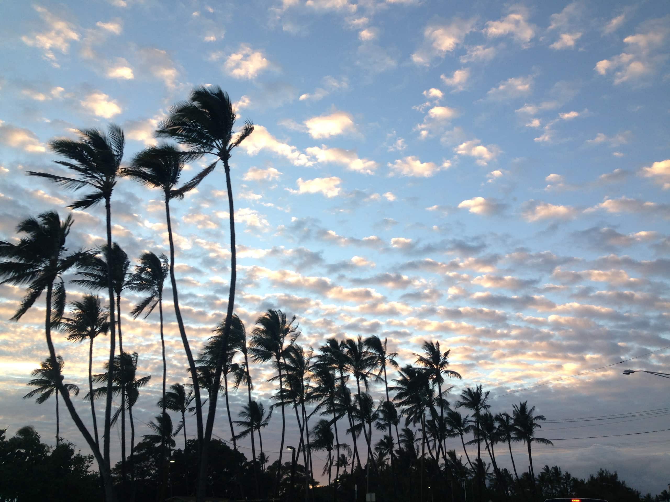Condo in Kihei · ★4.86 · 1 bedroom · 2 beds · 1 shared bath - Image 38