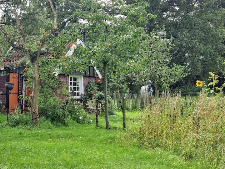Cottage De Vrolijke Haan, outdoor area Winterswijk.