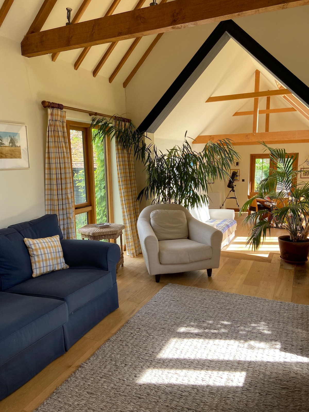 A spacious living area is presented with a blue sofa and a light-colored armchair, accompanied by a patterned cushion. Sunlight filters through tall windows, casting gentle patterns on the light wood floor. Potted plants add greenery, enhancing the inviting ambiance of the room.