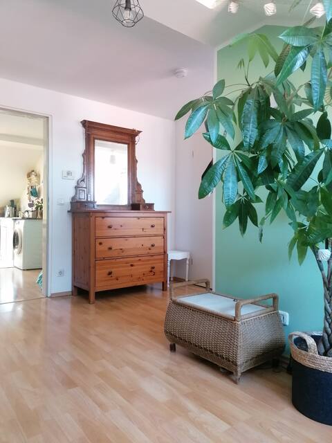 Successful Airbnb property: Cozy flat-close to the city centre and Oktoberfest in Schwanthalerhöhe