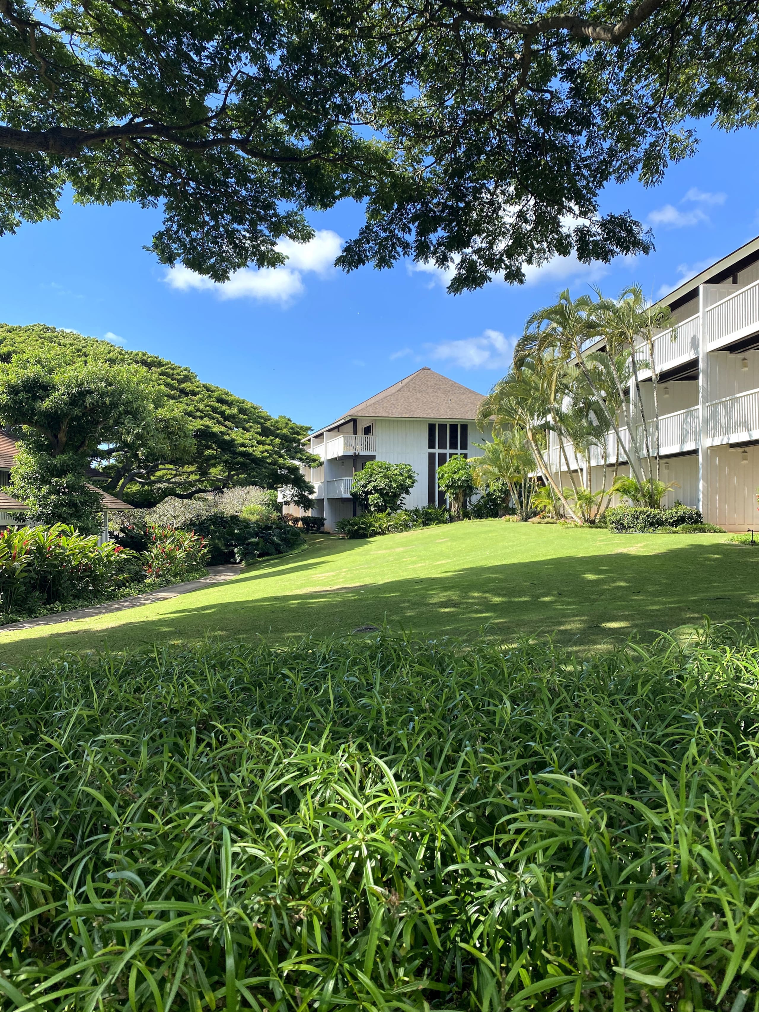 Condo in Koloa · ★4.85 · 1 bedroom · 2 beds · 1 private bath - Image 7