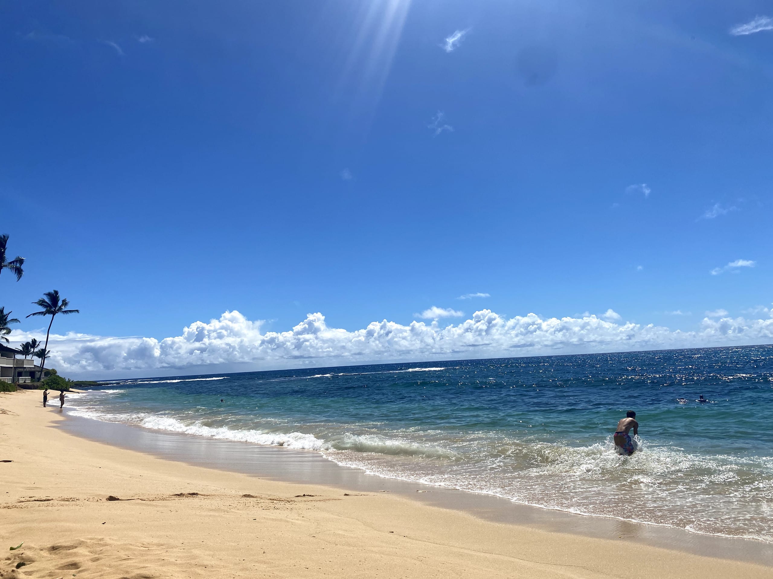 Condo in Koloa · ★4.85 · 1 bedroom · 2 beds · 1 private bath - Image 5