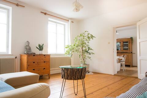 Big and cozy apartment