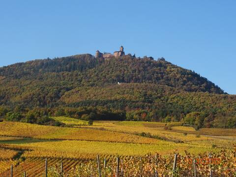 3* cottage at the foot of the Château du Haut-Koenigsbourg