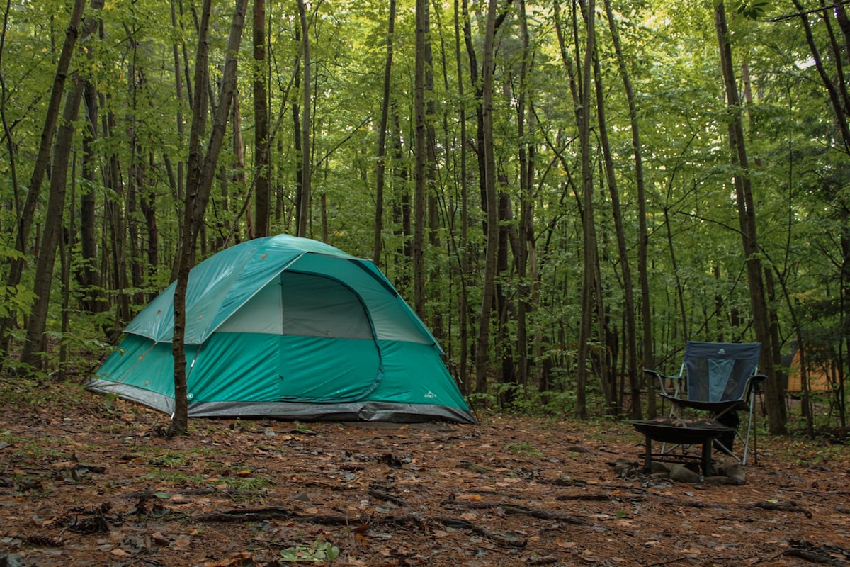 A spacious camping tent in a lush forest is surrounded by tall trees. A folding chair sits nearby, positioned next to a small fire pit, with pine needles and leaves covering the ground, enhancing the natural setting.