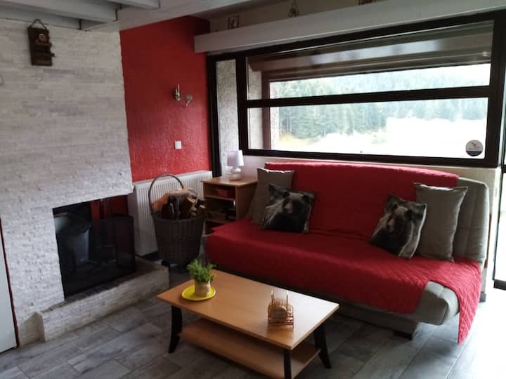 la zona de la chimenea