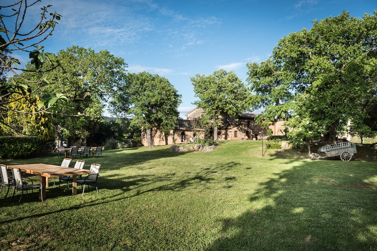 A spacious outdoor area is surrounded by lush greenery and large trees. A wooden dining table with multiple chairs is positioned on the lawn, offering a serene spot for meals. The rustic building is visible in the background, harmonizing with the natural landscape.