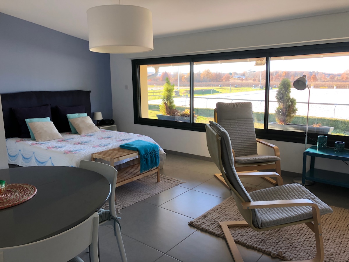 A modern studio features a spacious bed adorned with light bedding and decorative pillows. Large windows provide a view of the surrounding vineyards. A cozy seating area is set with a chair and small table, while a rug adds warmth to the sleek tile flooring.