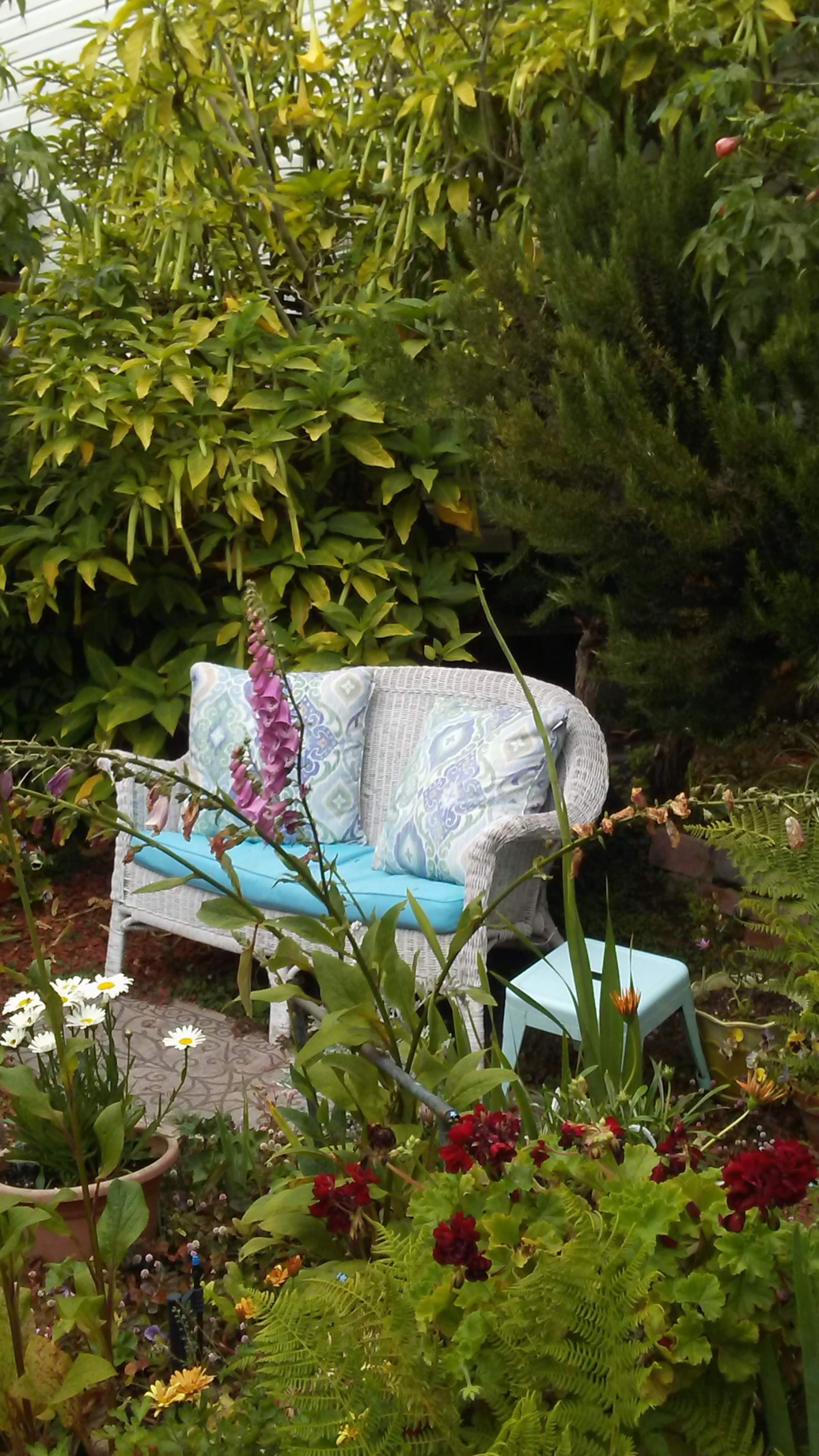 Eclectic Artistic Garden Retreat/Licensed - Image 15