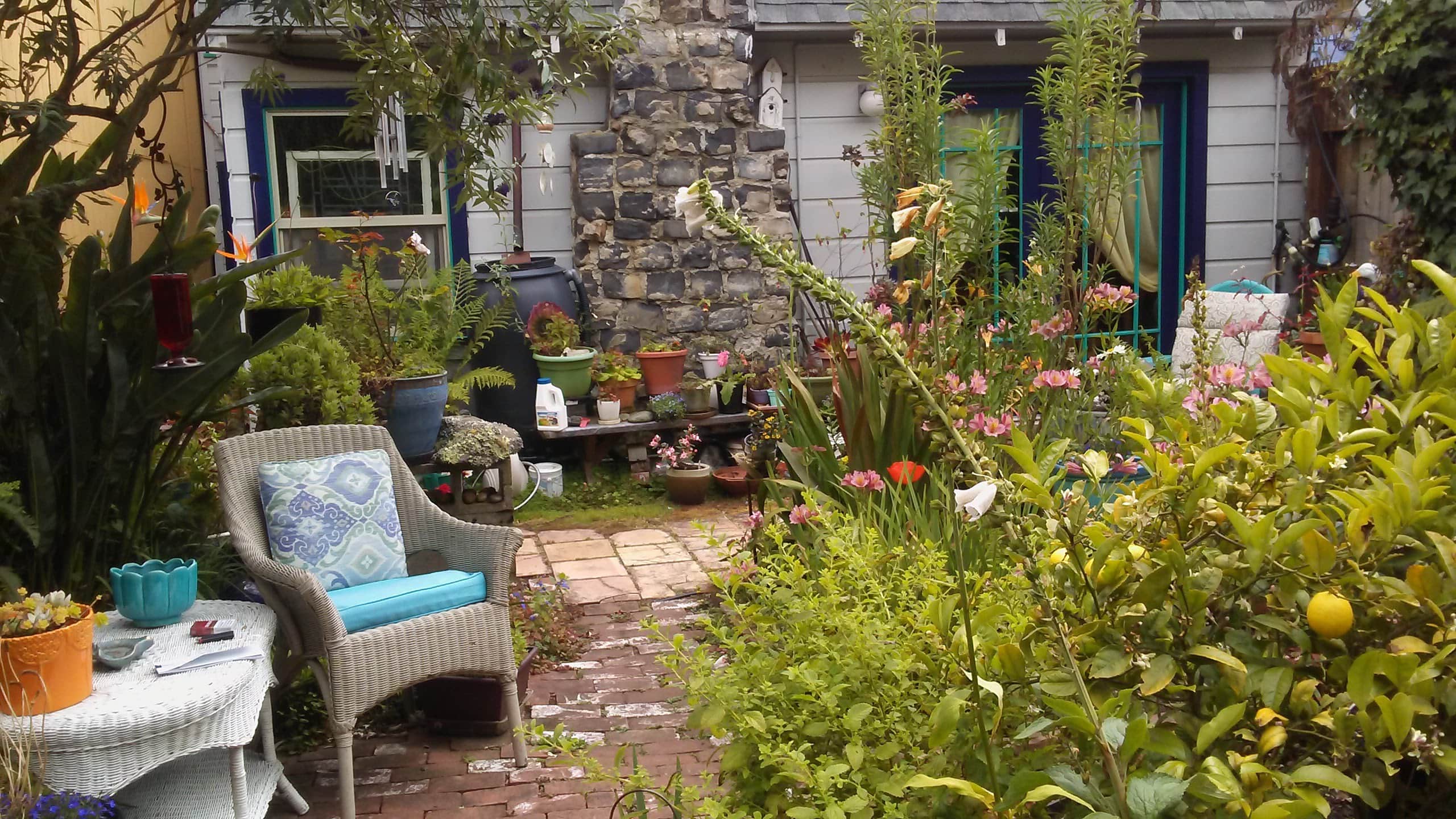 Eclectic Artistic Garden Retreat/Licensed - Image 14