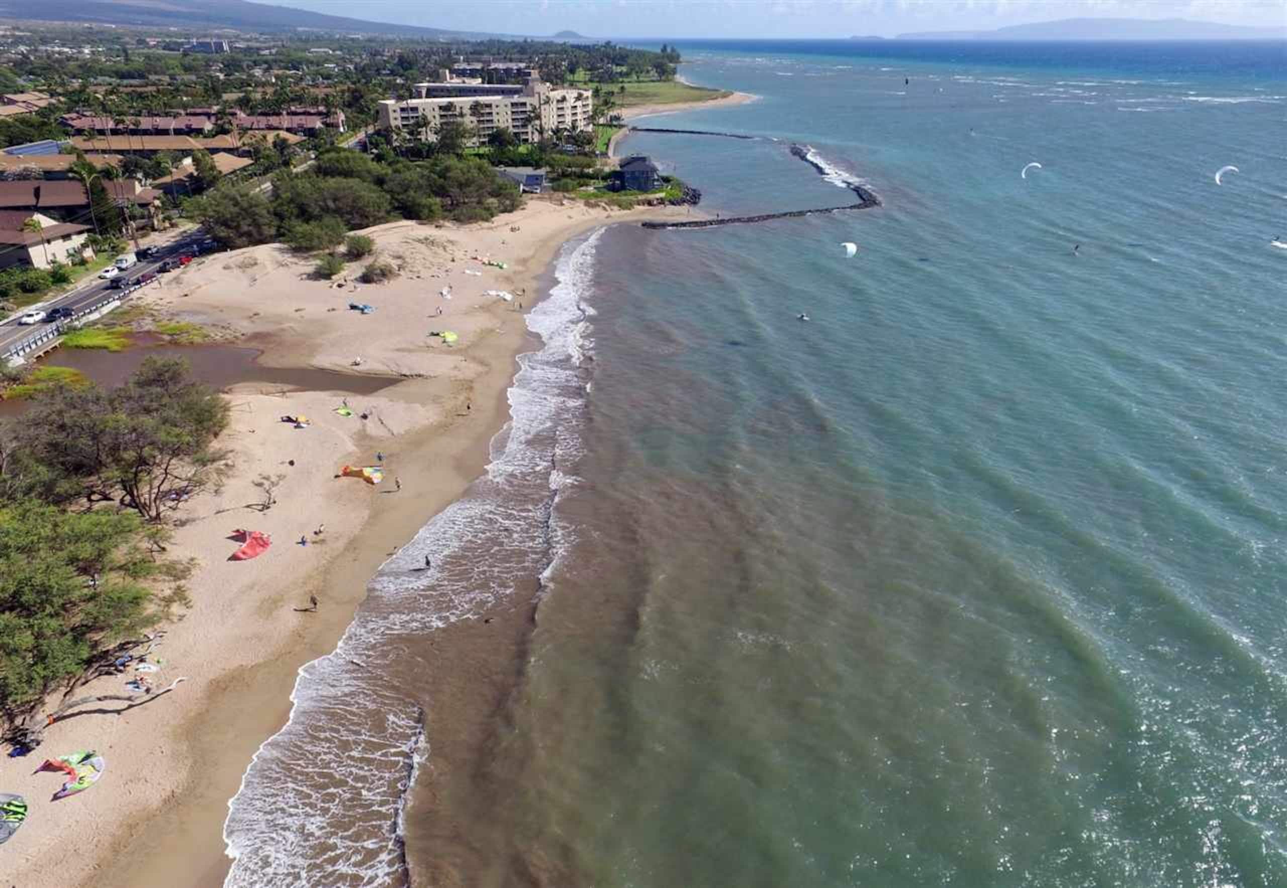 Condo in Kihei · ★4.82 · Studio · 1 bed · 1 bath - Image 3