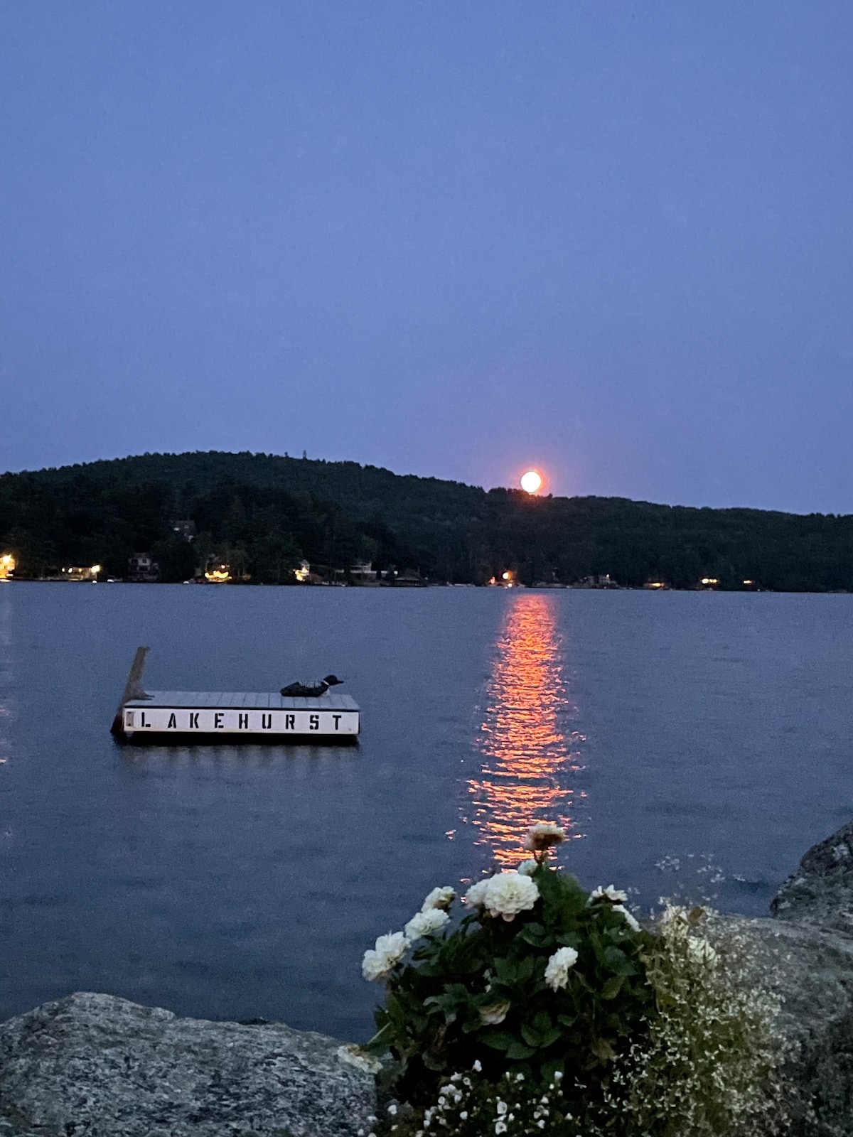 A tranquil lake scene at dusk, with the moon rising over the hills in the background. The water reflects the moonlight and nearby lights, creating a serene atmosphere. A small dock labeled 'LAKEHURST' is visible in the foreground, surrounded by soft white flowers.