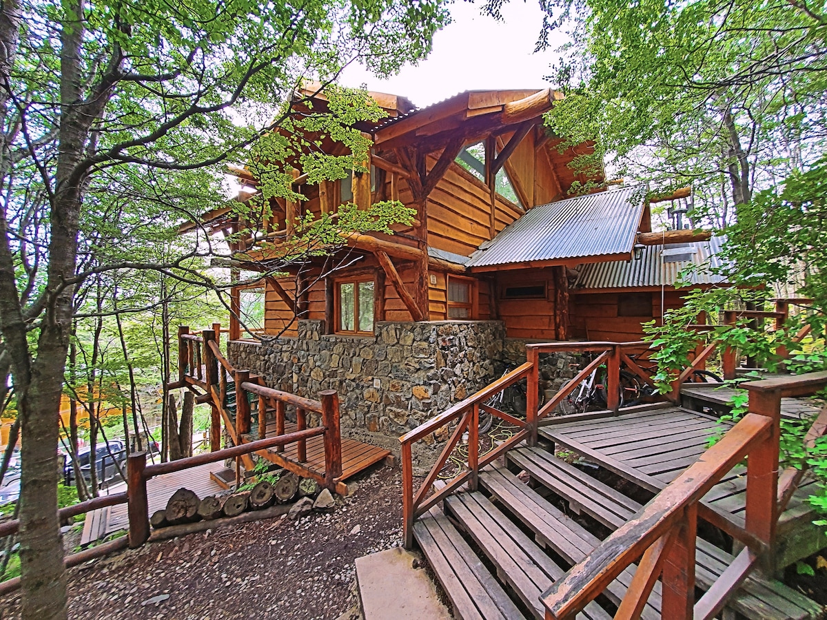 A two-story wooden cabin, constructed with stone and timber, is nestled among lush greenery. A wide wooden staircase leads to the entrance, surrounded by vibrant foliage. The structure features large windows, allowing for ample natural light and views of the surrounding forest.