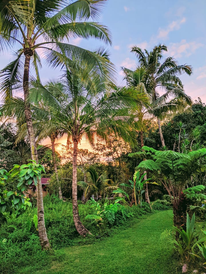 Keaau Vacation Rentals & Homes Hawaii, United States Airbnb