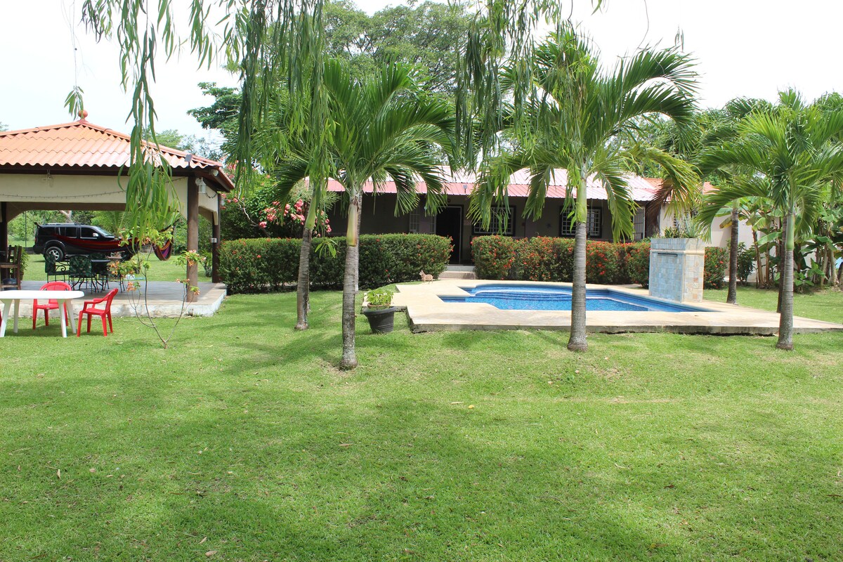 A spacious yard features lush green grass and tropical palm trees surrounding a crystal-clear pool. A covered bohio is visible to the left, complete with a dining area. The house is framed by vibrant shrubbery, providing a serene, relaxing atmosphere outdoors.