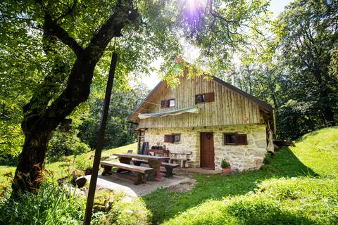Miha Lodge in the woods with magnificent view