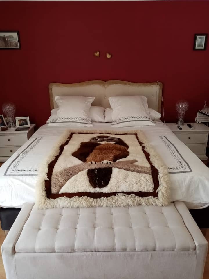 Chambre 1